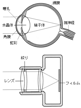 白内障とは